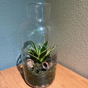Large Faux Terrarium